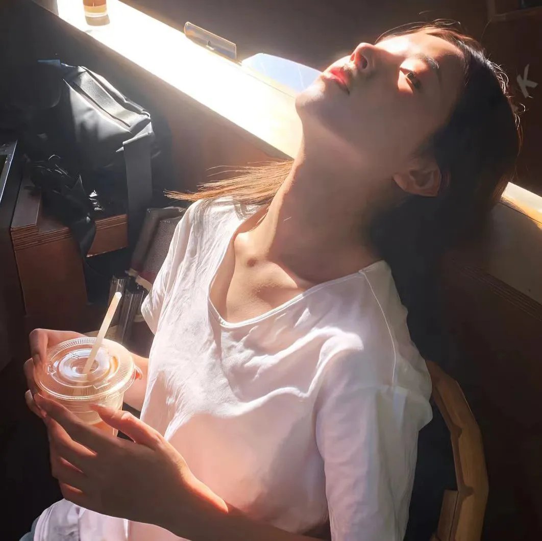 少帅的复仇女佣