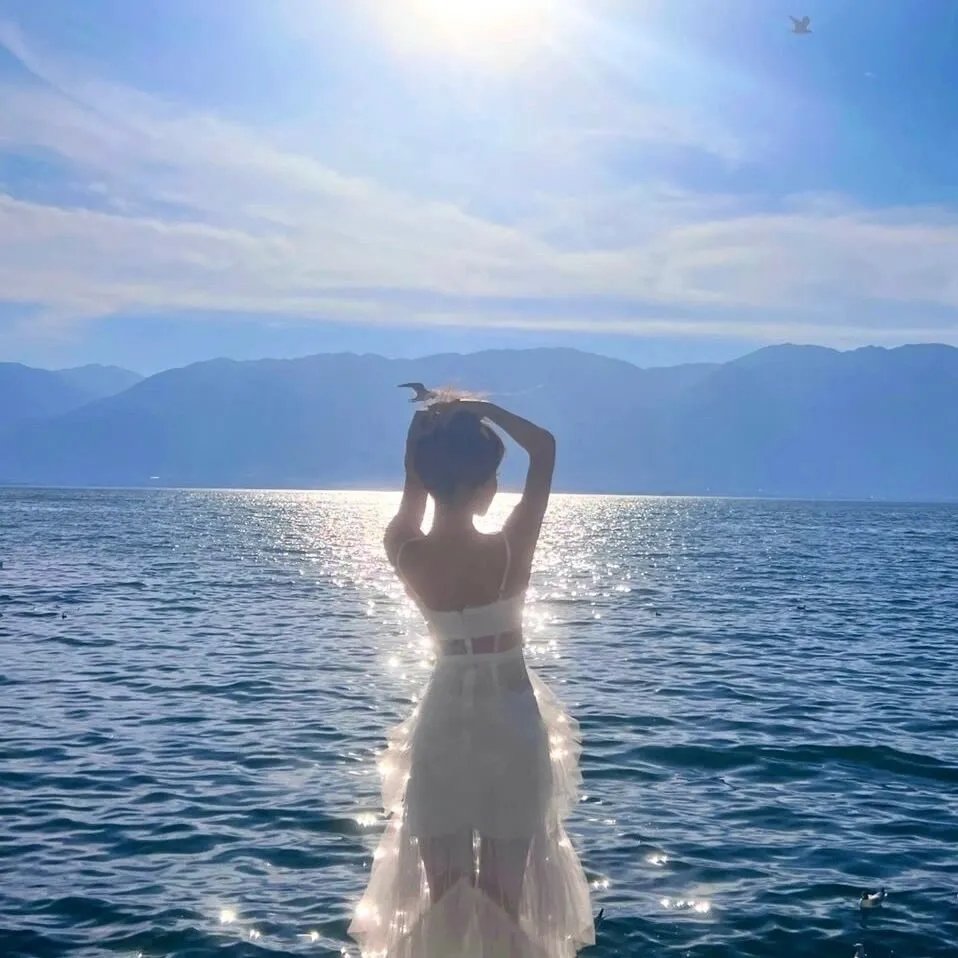 头号外交官第二季